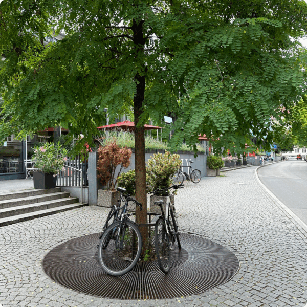Claudia - Your Personal Munich Travel Concierge - Image 4
